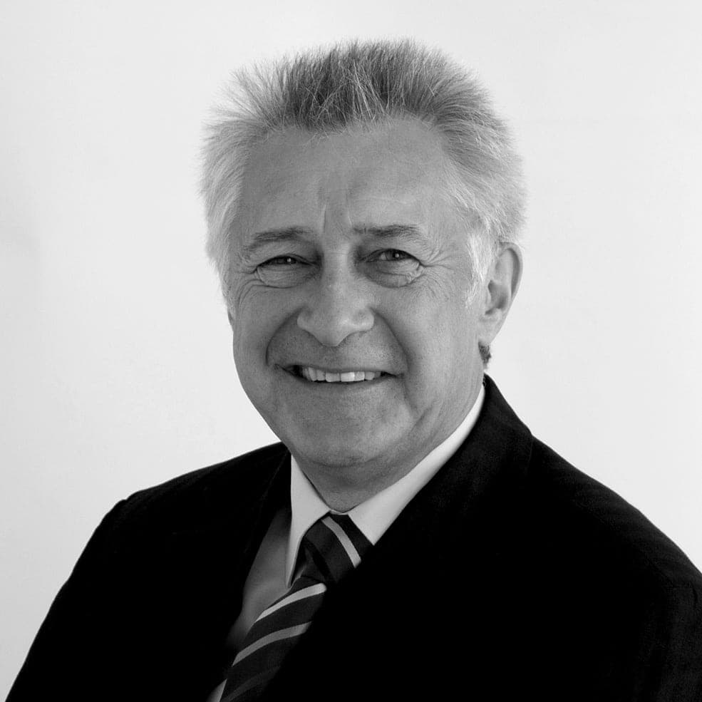 Henry Dabrowski, Consultant